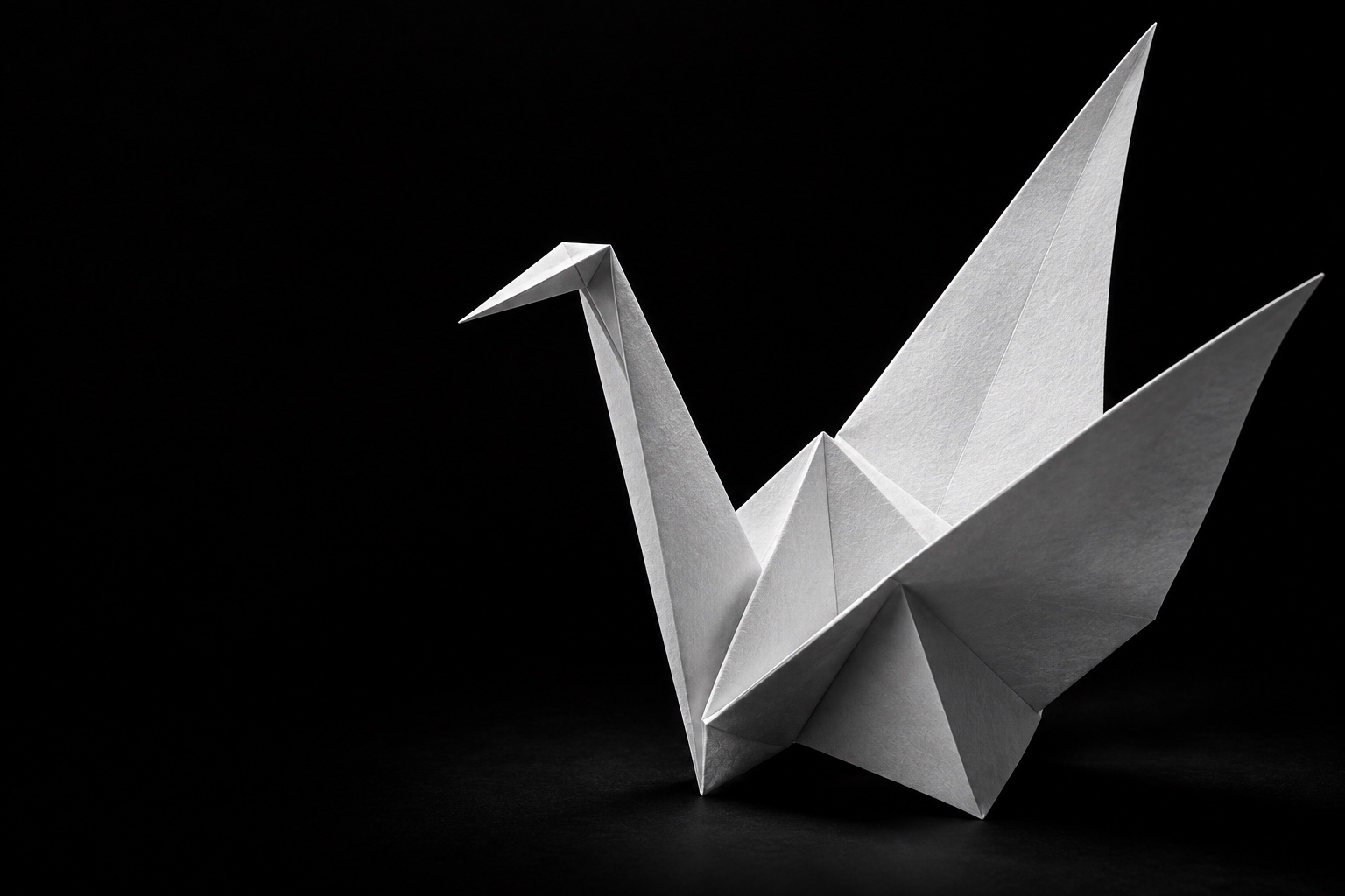 A white origami crane with sharply folded wings, sculpted in light against black.